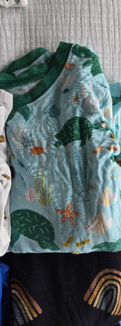Little Sleepies Long Sleeve Pajama Set in Sea Turtle Friends — 3T | EUC